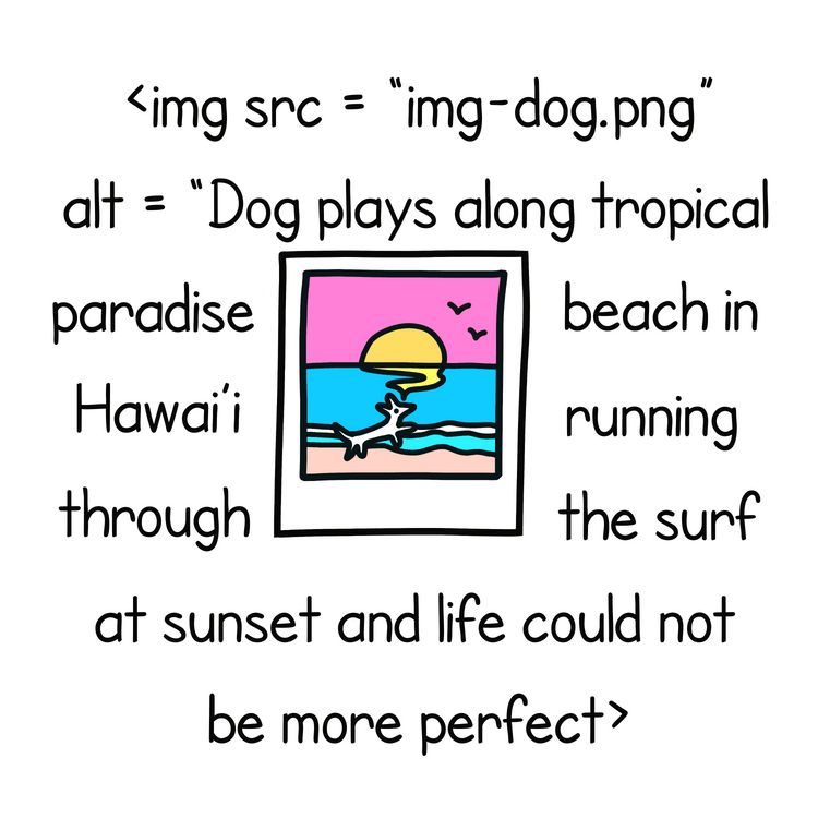 A picture of an image and the html image alt tag describes a dog playing along a tropical beach in Hawaii and life is perfect.